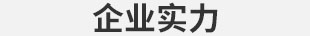 企业实力